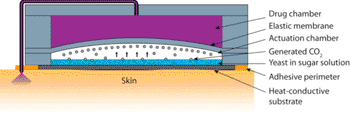 Image: Schematic representation of the Purdue microorganism-powered thermopneumatic pump (Photo courtesy of Purdue University).